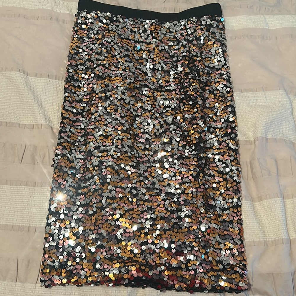 H & M Sequin Skirt